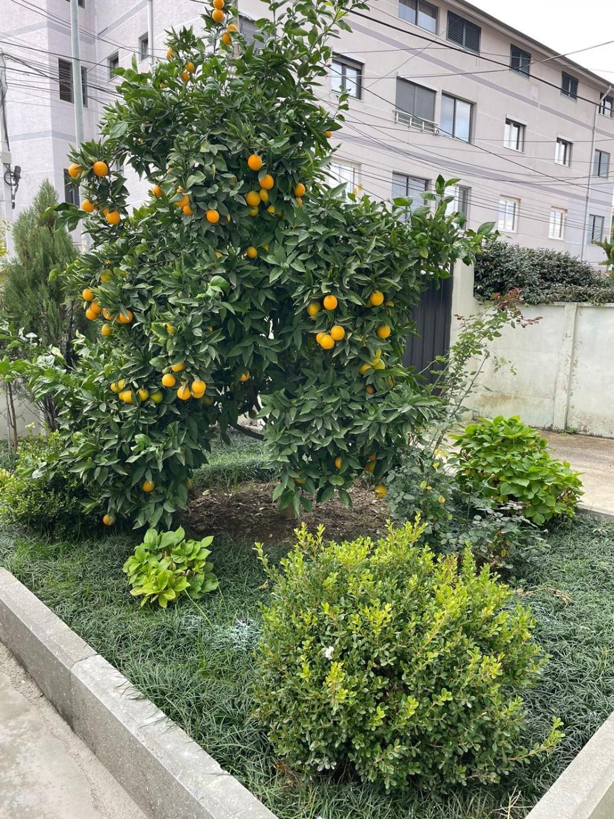 Kevi 'S Place Tirana Exterior photo